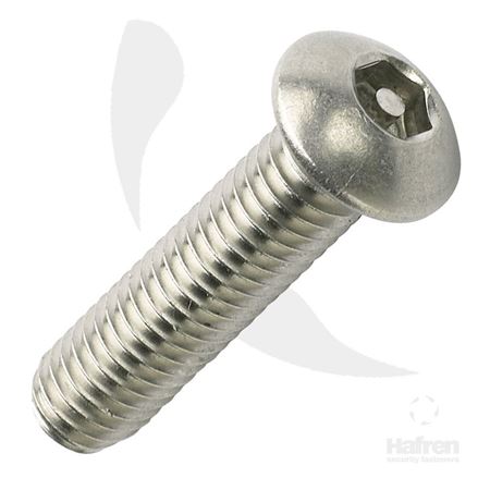 Picture for category Pin Hex Security Screws