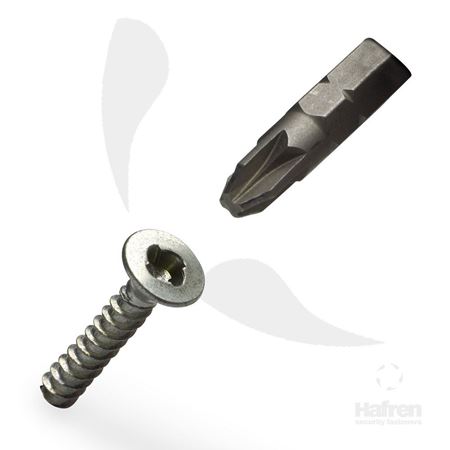 Picture for category Sentinel Security Fasteners