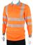 Picture of HIVIZ EXECUTIVE LONG SLEEVE POLO ORANGE 4XL