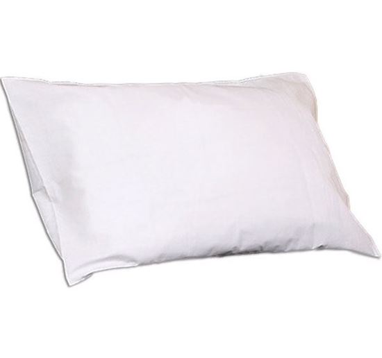 Picture of POLYESTER FILLED PILLOW (Q2085)