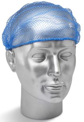 Picture of DISP HAIRNET BLUE 