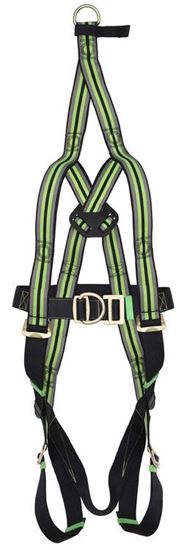 Picture of 2 POINT RESCUE HARNESS FA1010600