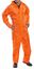 Picture of NYLON B-DRI COVERALL ORANGE L 